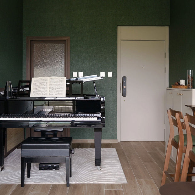 銀湖天峰 Lake Sliver - 543 ft.